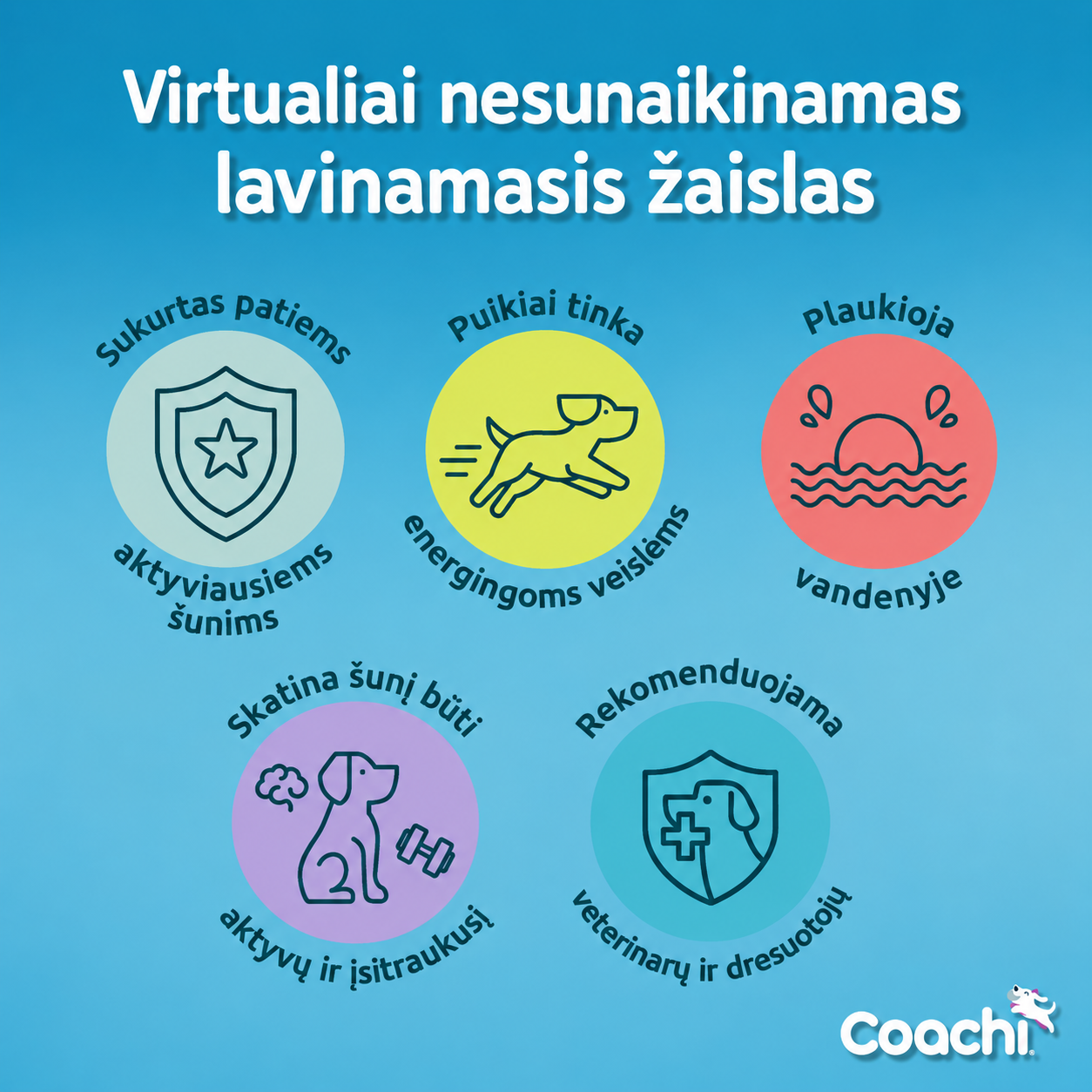 Praktiškai nesunaikinamas - Boomi ball - Image 9