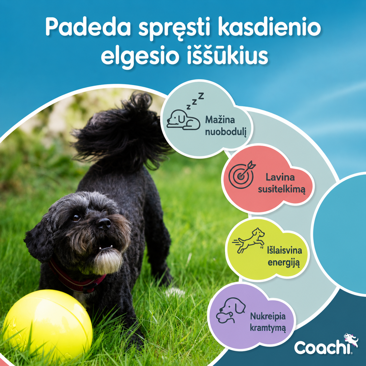 Praktiškai nesunaikinamas - Boomi ball - Image 7