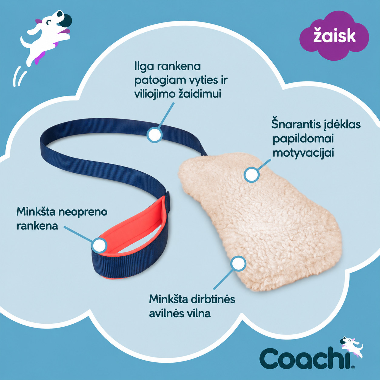Čežantis žaislas