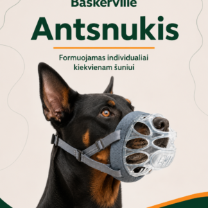 Antsnukis – tvirtas formuojamas - 6 dydis