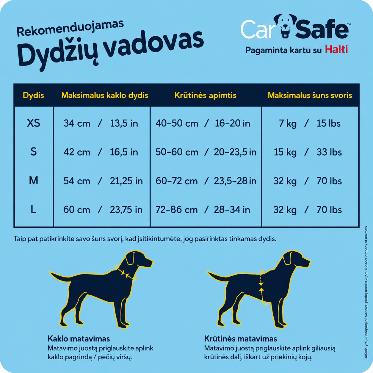 CarSafe petnešos - Image 10
