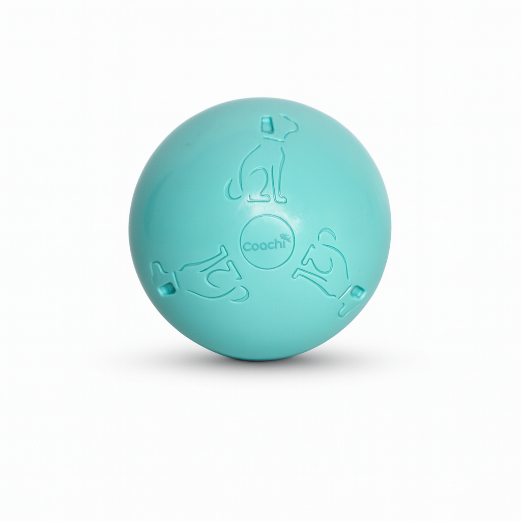 Praktiškai nesunaikinamas - Boomi ball - Image 2