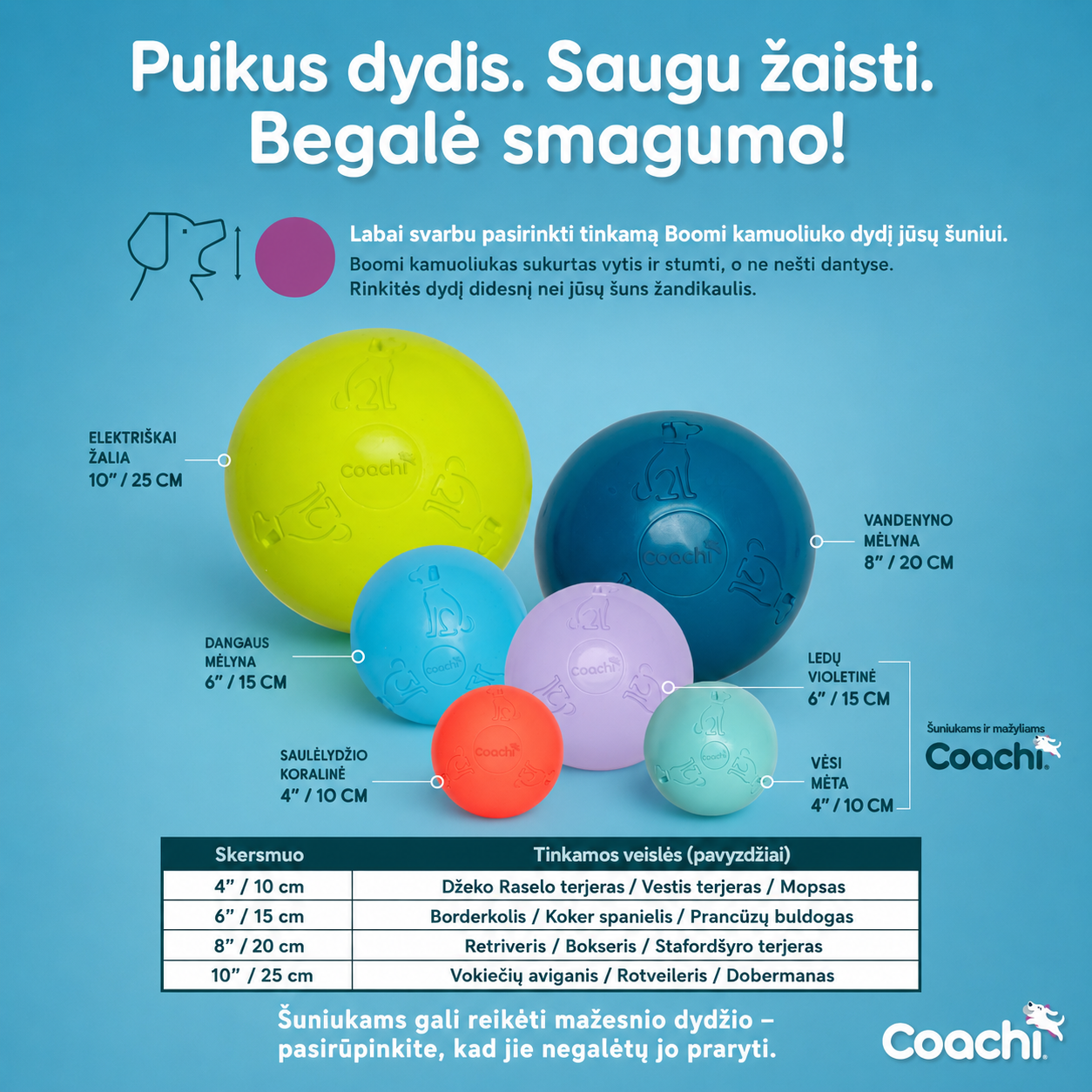 Praktiškai nesunaikinamas - Boomi ball - Image 8