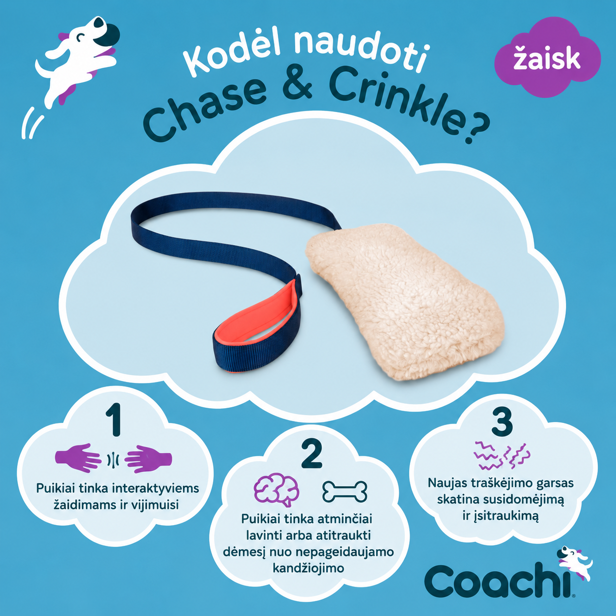 Čežantis žaislas - Image 3